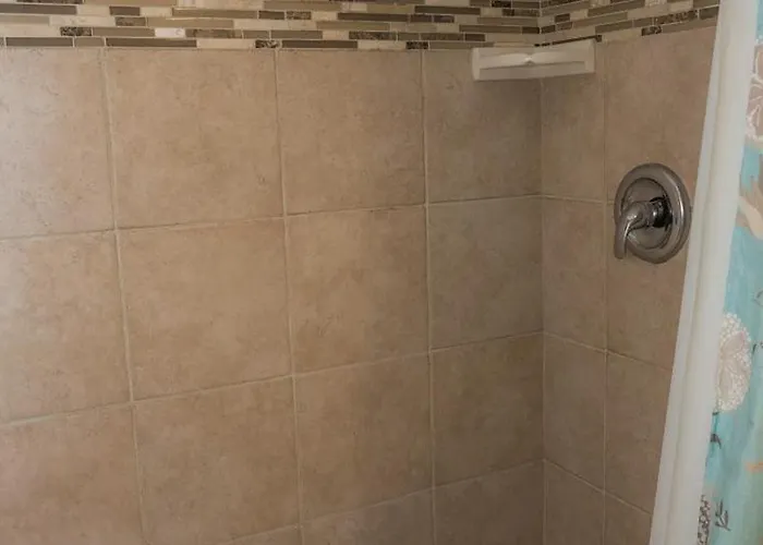3 *